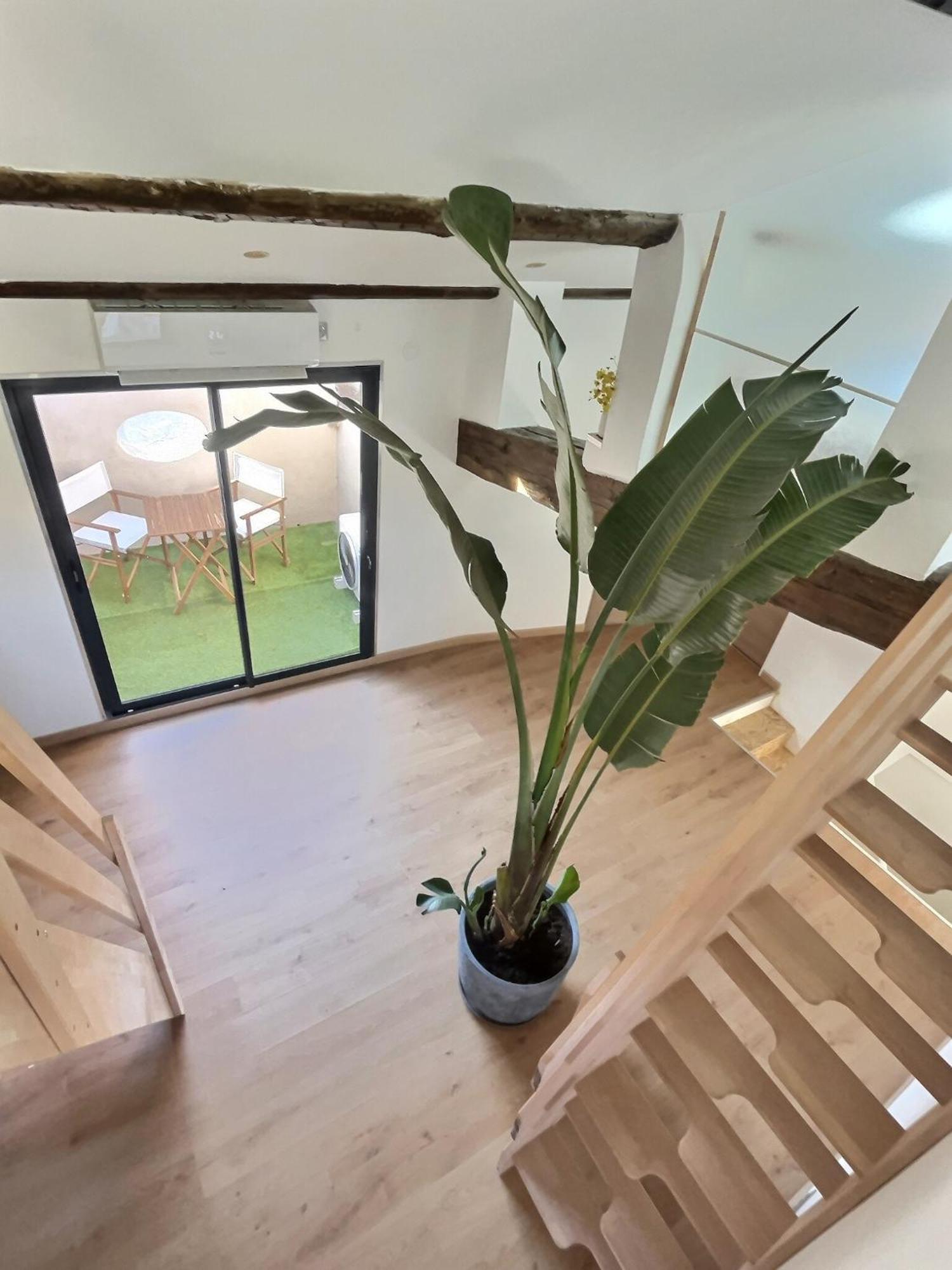 Jungle Loft Beziers Centre Apartman Kültér fotó