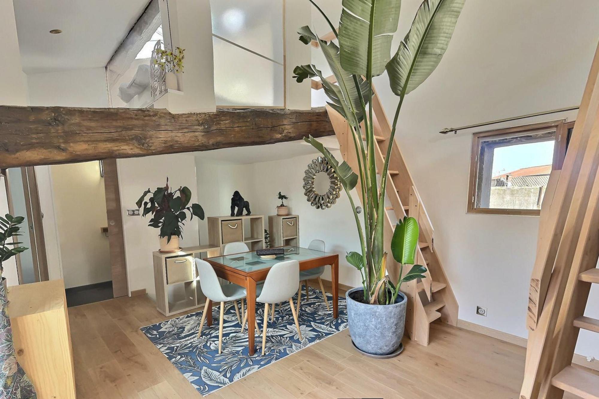 Jungle Loft Beziers Centre Apartman Kültér fotó